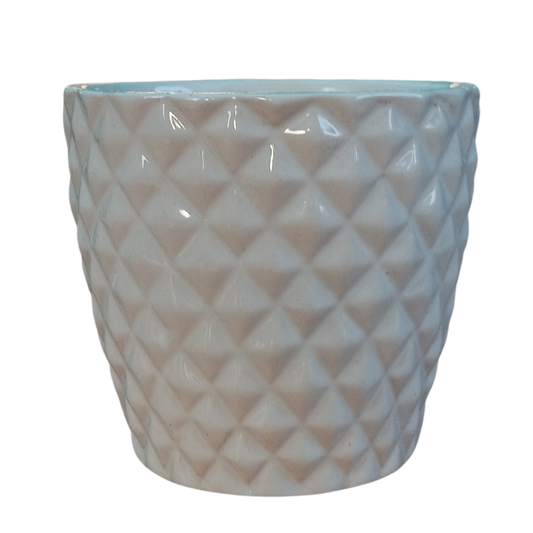 Stylish Ceramic Pot White 8 Inch